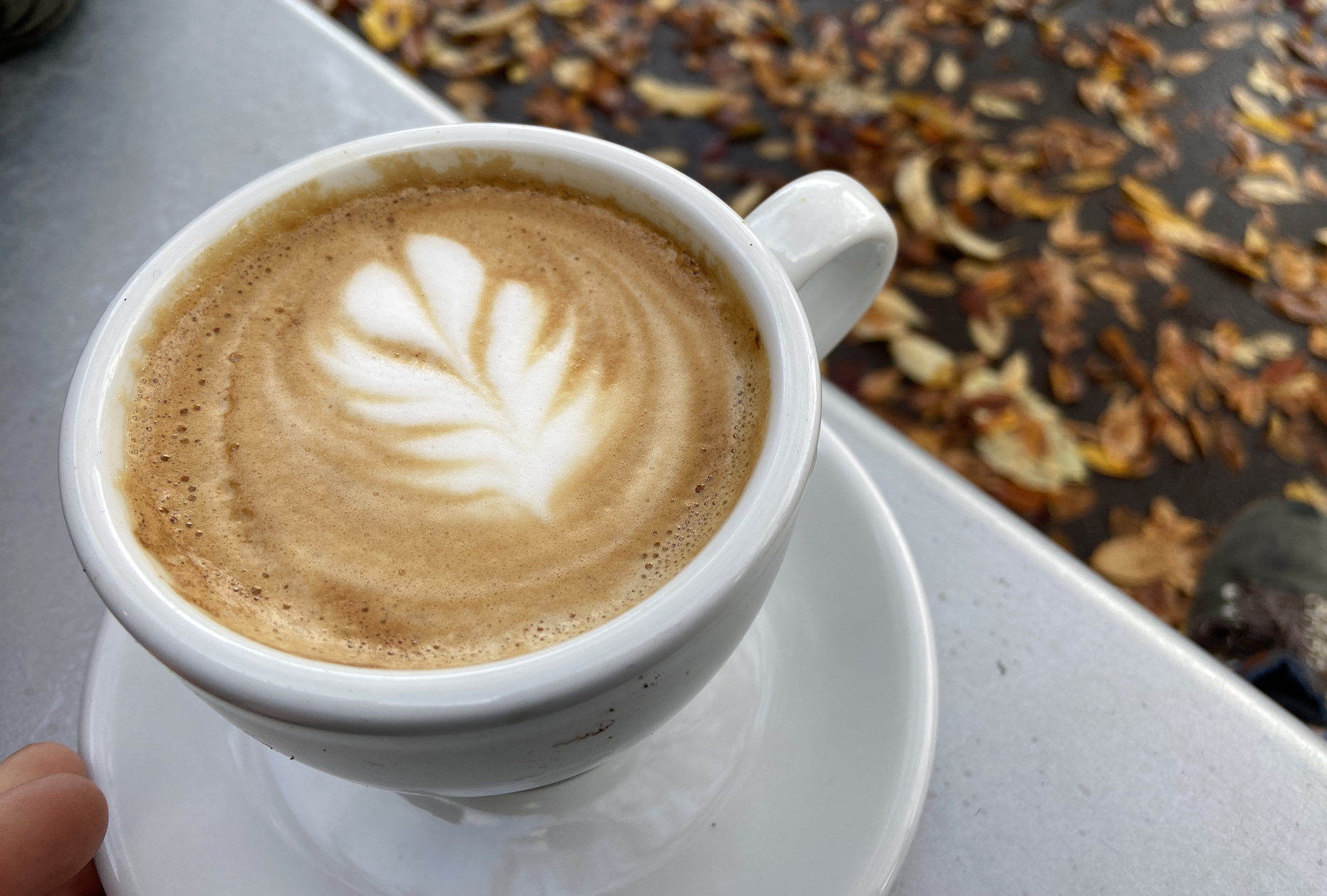 beautifully made cappuccino with simple latte art on a white cup and saucer on a silver table over sidewalk with wet gold and rust and brown leaves