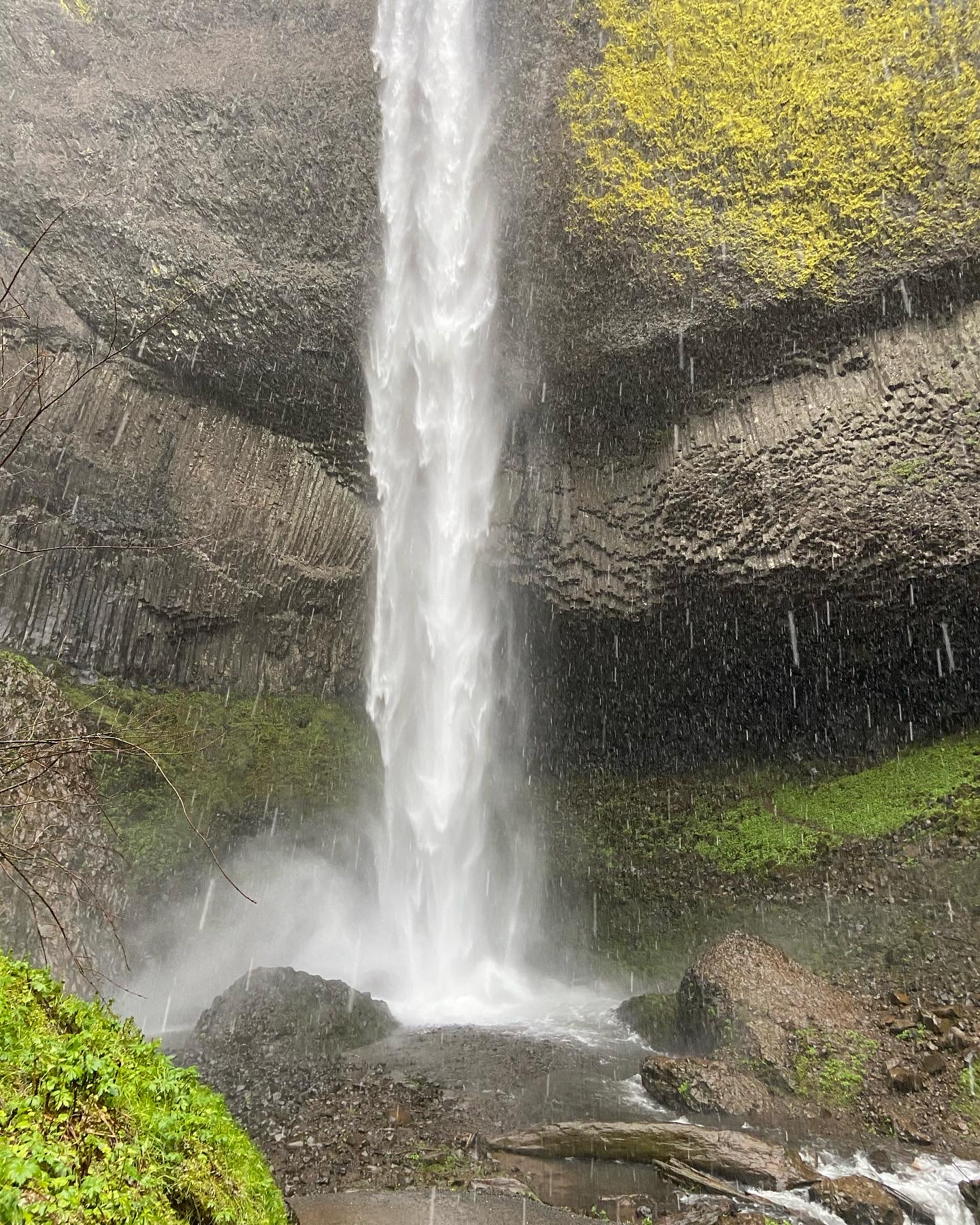 a plunge style waterfall in front of a columnar basalt array topped with chartreuse lichen falls behind rain drops