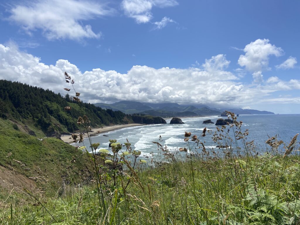 a view of giant ocean rocks below with big but gentle waves and a pile of cumulus clouds in the distance. in the foreground are sunny wild flowers framing the view of the shoreline beneath