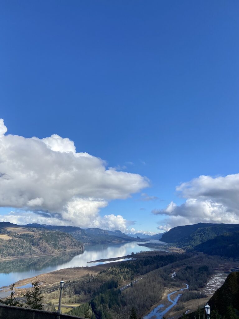 an absolutely blue sky view of the Columbia River Gorge from a viewpoint above, with cumulus clouds piled up and the river absolutely reflective below