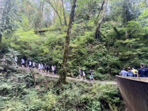 on footwear hiking forest park